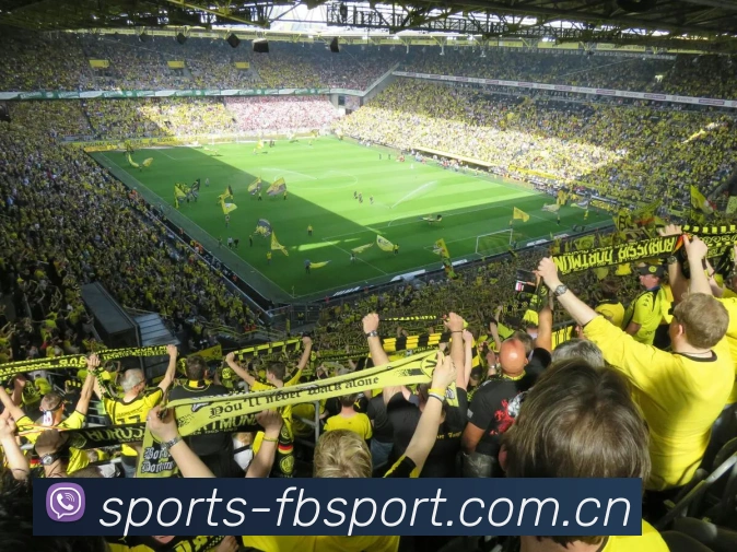 体育赛事直播